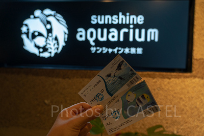 チケットを買う時には手持ちのクレカを要チェック！
