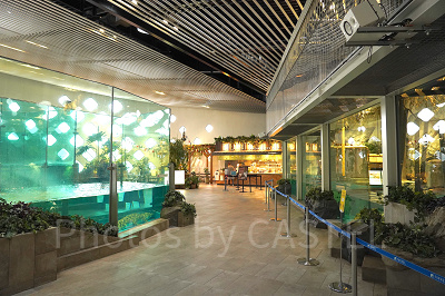 ホワイトタイガー展示エリア（写真右手の2階構造の建物）