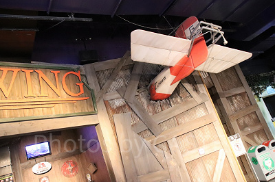 ワイルドウィング