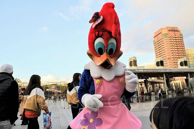 グリーティング中のウィニー・ウッドペッカー/USJ