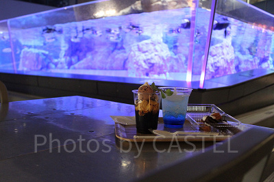 ペンギンの水槽を眺めながらスイーツやビール、軽食が楽しめます