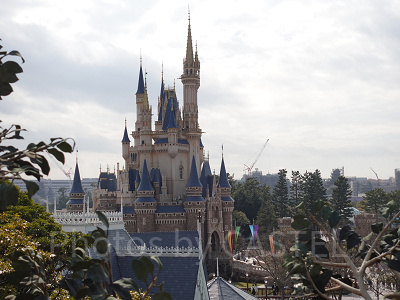 シンデレラ城も見える！