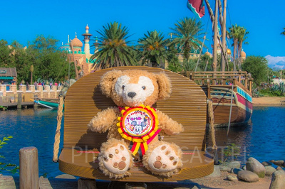 ディズニーでのサプライズ15選！誕生日&記念日に！彼氏彼女・友達に
