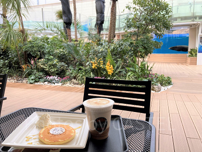 テラス席からはアシカの水槽が見えます