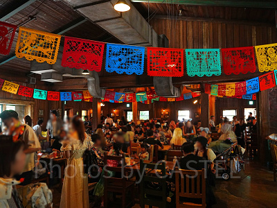 ユカタン・ベース・キャンプグリルのデコレーション