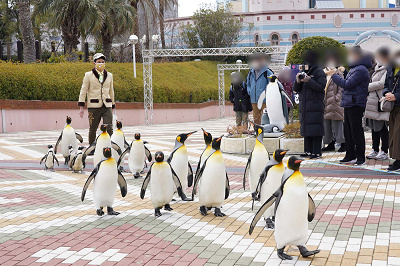 22 アドベンチャーワールドの営業時間 定期的に休園日あり 春休みやgw 夜間の特別営業情報も 22 アドベンチャーワールドの営業時間 定期的に休園日あり 春休みやgw 夜間の特別営業情報も