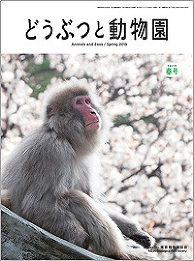 22 上野動物園の料金はいくら 1日チケット料金 年間パスポート 無料で入場できる日まとめ