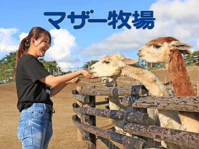 マザー牧場のグランピング The Farmの宿泊プラン 料金は 予約 テントタイプ 食事 特典まとめ