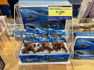 美ら海水族館のお土産30選 販売場所やtシャツ ぬいぐるみ 雑貨 お菓子など人気のジンベエザメグッズもご紹介