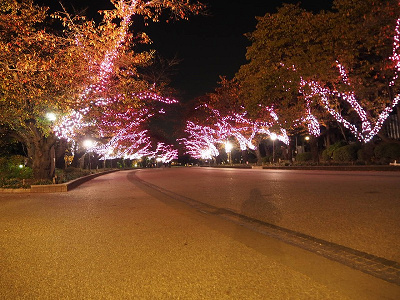 22 上野動物園の混雑解説 春休み Gw 夏休み 冬休みの混雑状況 回避方法まとめ