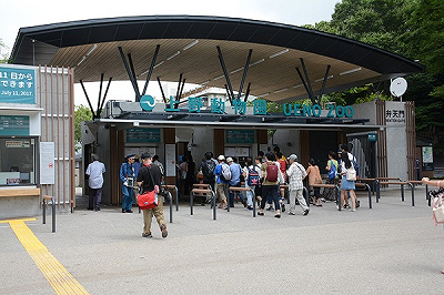 22 上野動物園の料金はいくら 1日チケット料金 年間パスポート 無料で入場できる日まとめ
