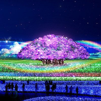 2020年の「奇跡の大樹」