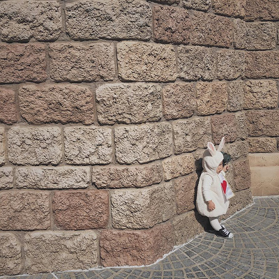 絵本に出てきそうなかわいい白うさぎさん