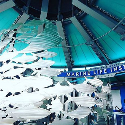 どこかで聞き覚えのある声が･･･？