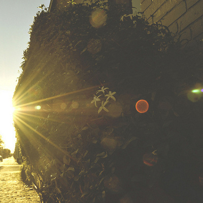 光と音とパフォーマンスが融合！