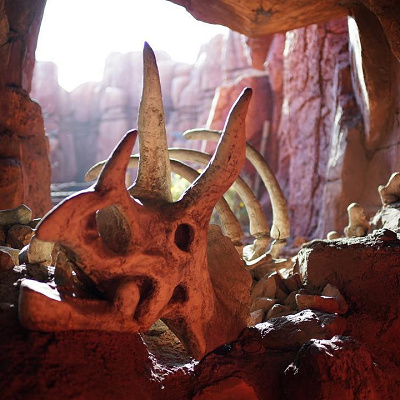 恐竜の時代を感じる珍しい植物が！