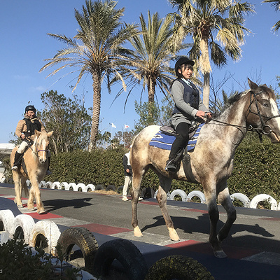 アドベンチャーホース