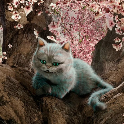 アリス・イン・ワンダーランド：チェシャ猫| キャステル | CASTEL