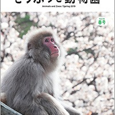 一般会員になると貰えるどうぶつと動物園