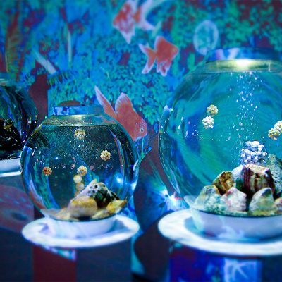 AQUA oasis（アクアオアシス）