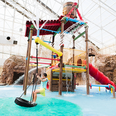 撤去されたアトラクション