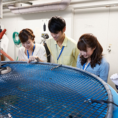 バックヤードツアー