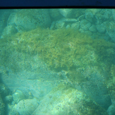 美しい海底世界