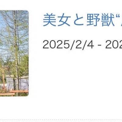 2025年2月に美女と野獣”魔法のものがたり”が休止