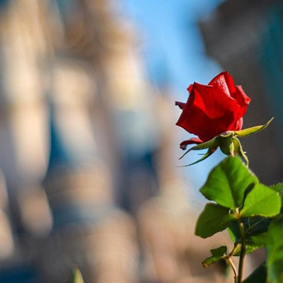 ハプニングには気を付けて