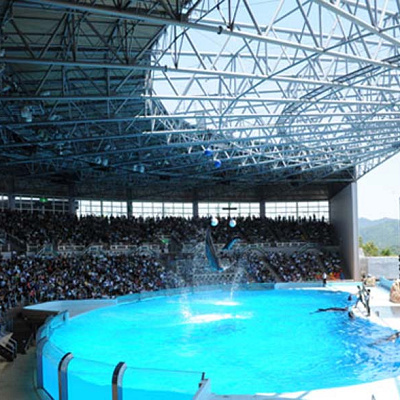 ビックオーシャン