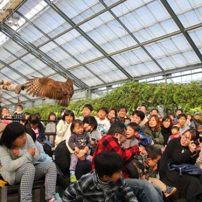 バードパフォーマンス