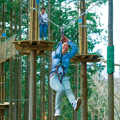 キャノピーコース