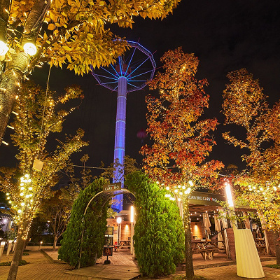 シャンパンゴールドイルミネーション