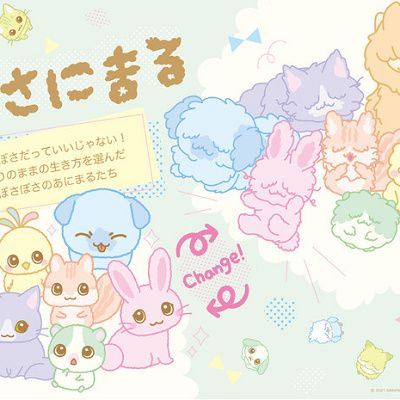 ぼさにまるの変化