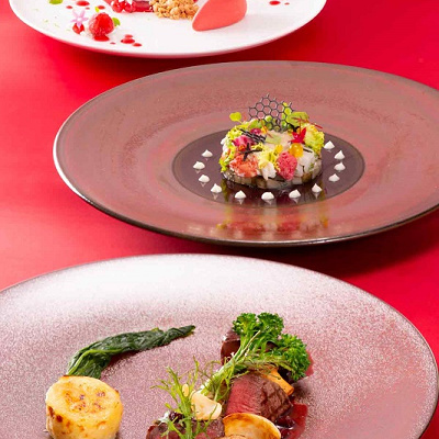 クリスマス・スタイリッシュカンナ