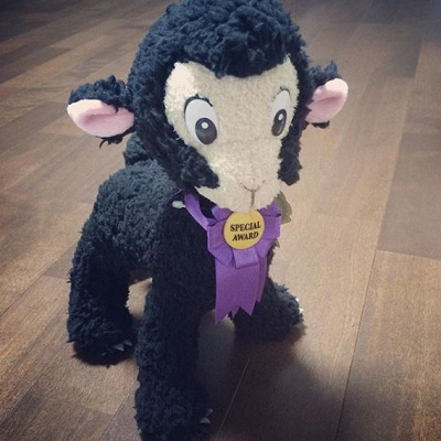 黒い毛並がかわいいこひつじダニー