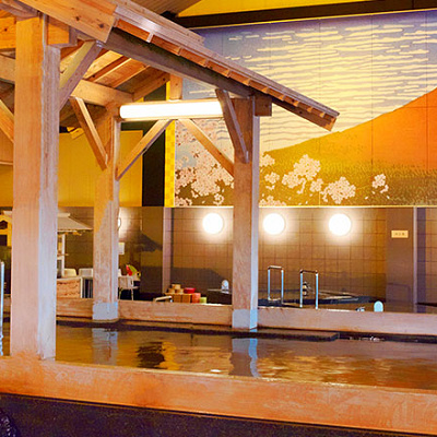 デイリープラス　大江戸温泉物語