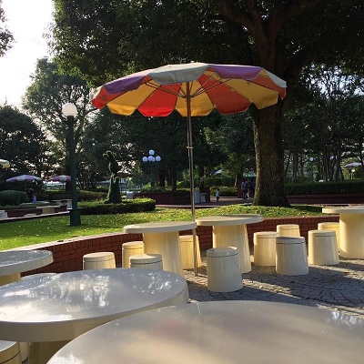 ディズニーのピクニックエリア