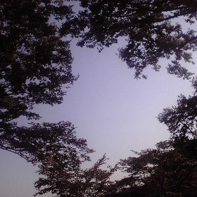 ブーが住まうのはおそろしの森？