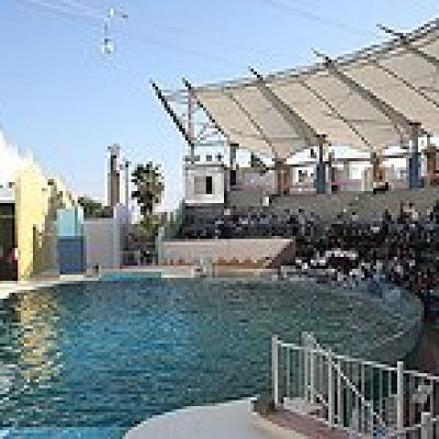 イルカライブ館