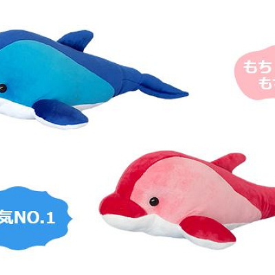 もっちりイルカ