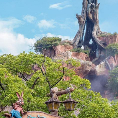 効率良い取り方