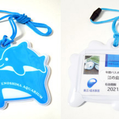 えのすいイルカ型カードホルダー