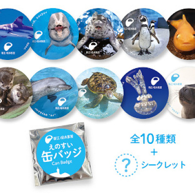 えのすいランダム缶バッジ