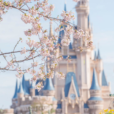 入学祝いギフト