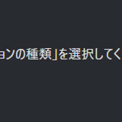 エラー④「「オプションの種類」を選択してください。」