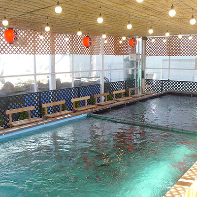 【番外編】スーパーフィッシング豊島園