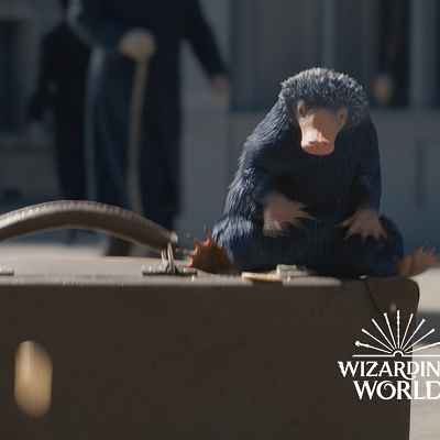 ファンタビ魔法生物：ニュートの元で暮らすニフラーたち