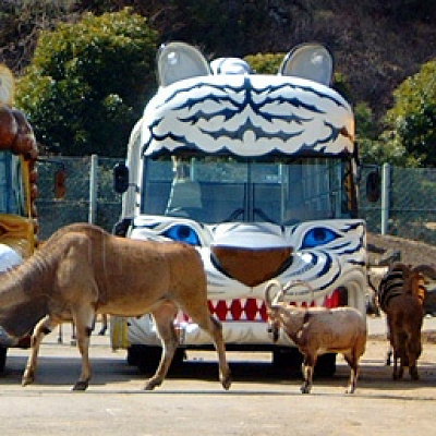 エサやり体験バス