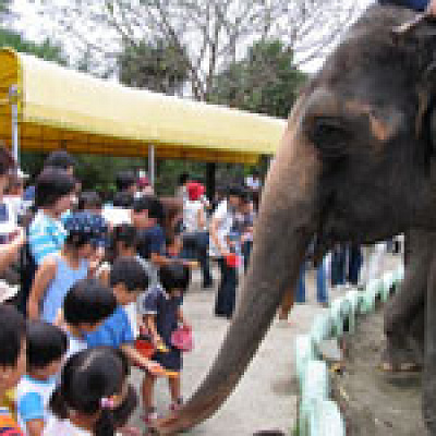 園内ではエサあげ体験も